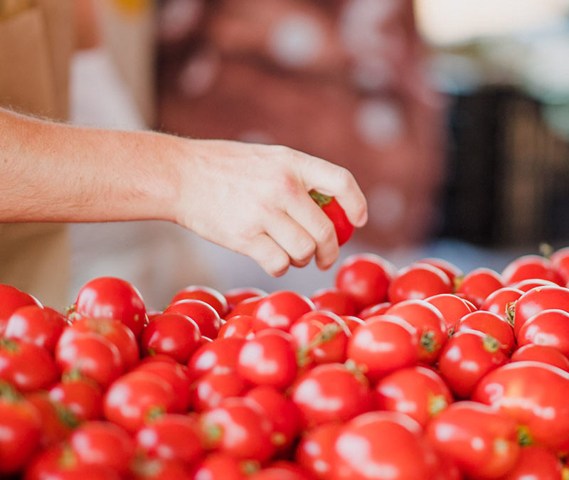 Pomodoro di Pachino | Storia